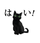 緑目黒猫★敬語スタンプ（個別スタンプ：6）