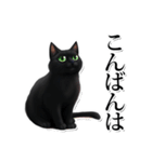 緑目黒猫★敬語スタンプ（個別スタンプ：11）