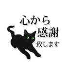 緑目黒猫★敬語スタンプ（個別スタンプ：18）