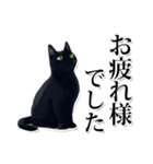 緑目黒猫★敬語スタンプ（個別スタンプ：25）