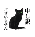 緑目黒猫★敬語スタンプ（個別スタンプ：30）