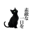 緑目黒猫★敬語スタンプ（個別スタンプ：34）