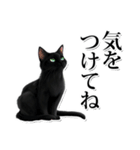 緑目黒猫★敬語スタンプ（個別スタンプ：35）