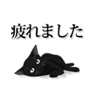 緑目黒猫★敬語スタンプ（個別スタンプ：37）