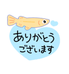 金魚とメダカのmixスタンプ（個別スタンプ：8）