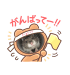 らすみースタンプ（個別スタンプ：2）