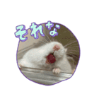らすみースタンプ（個別スタンプ：5）