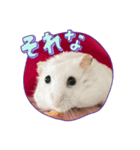 らすみースタンプ（個別スタンプ：6）