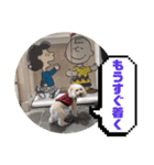 めるるの15（個別スタンプ：7）