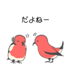 ハワイの鳥 アパパネのスタンプ（個別スタンプ：10）