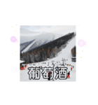 天竜人萬華区の買い物 北海道の雪スキー場（個別スタンプ：2）