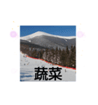 天竜人萬華区の買い物 北海道の雪スキー場（個別スタンプ：4）