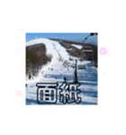 天竜人萬華区の買い物 北海道の雪スキー場（個別スタンプ：28）