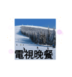 天竜人萬華区の買い物 北海道の雪スキー場（個別スタンプ：35）