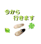 ゆるい手描き海鮮イラスト＆犬猫フォト（個別スタンプ：16）