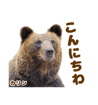 のぼりべつクマ牧場 公式スタンプ第3弾（個別スタンプ：2）