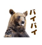 のぼりべつクマ牧場 公式スタンプ第3弾（個別スタンプ：4）