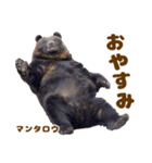 のぼりべつクマ牧場 公式スタンプ第3弾（個別スタンプ：5）