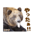 のぼりべつクマ牧場 公式スタンプ第3弾（個別スタンプ：9）