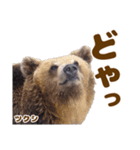 のぼりべつクマ牧場 公式スタンプ第3弾（個別スタンプ：12）