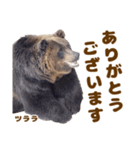 のぼりべつクマ牧場 公式スタンプ第3弾（個別スタンプ：13）