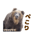 のぼりべつクマ牧場 公式スタンプ第3弾（個別スタンプ：14）