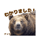 のぼりべつクマ牧場 公式スタンプ第3弾（個別スタンプ：15）