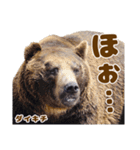 のぼりべつクマ牧場 公式スタンプ第3弾（個別スタンプ：17）