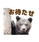のぼりべつクマ牧場 公式スタンプ第3弾（個別スタンプ：20）