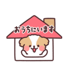 ふわふわシーズー10 家族で使える！（個別スタンプ：37）