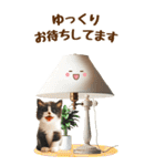 [BIG] 大人可愛いニャンコの敬語スタンプ（個別スタンプ：31）