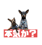蘭丸親衛隊10（個別スタンプ：8）