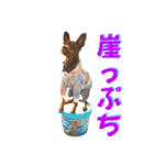 蘭丸親衛隊10（個別スタンプ：25）