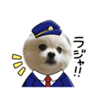 ガニ股子✤茶々（個別スタンプ：1）