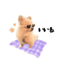 もふもふポメチワ（個別スタンプ：17）