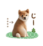 名前を入れて☆しば犬の今○○してます！（個別スタンプ：4）