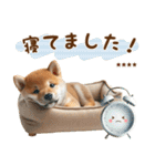 名前を入れて☆しば犬の今○○してます！（個別スタンプ：7）