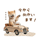 名前を入れて☆しば犬の今○○してます！（個別スタンプ：9）