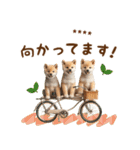 名前を入れて☆しば犬の今○○してます！（個別スタンプ：11）