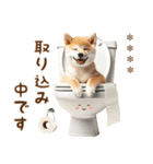 名前を入れて☆しば犬の今○○してます！（個別スタンプ：15）