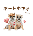 名前を入れて☆しば犬の今○○してます！（個別スタンプ：17）