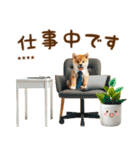 名前を入れて☆しば犬の今○○してます！（個別スタンプ：21）