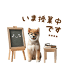 名前を入れて☆しば犬の今○○してます！（個別スタンプ：24）