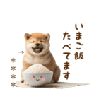 名前を入れて☆しば犬の今○○してます！（個別スタンプ：26）