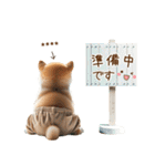 名前を入れて☆しば犬の今○○してます！（個別スタンプ：38）