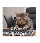 <超使える>猫ミームと宇宙猫セット（個別スタンプ：13）