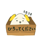 わんだこちゃん（個別スタンプ：24）