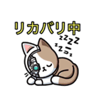 猫のデジタルキャットちゃんスタンプ（個別スタンプ：5）