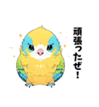 可愛いすぎる！セキセイインコだらけ（個別スタンプ：13）