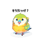 可愛いすぎる！セキセイインコだらけ（個別スタンプ：30）